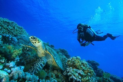 buceo.jpg