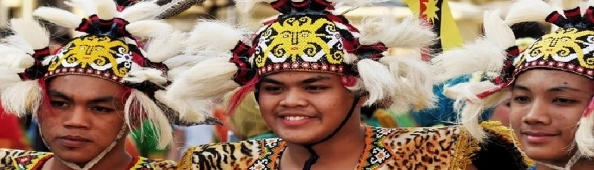 malaysia-rainforestmusicfestivaljpg.jpg