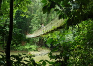 malasia-reisen---borneo---sabah---danum-valley-02jpg.jpg