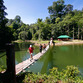 Malaysia Reisen | Brcke, Royal Belum Rainforest