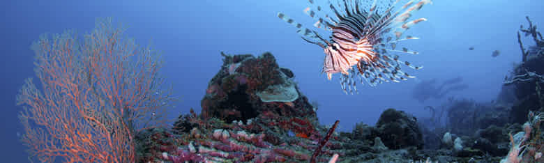 Malaysia-Reisen-Perhentian.jpg