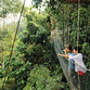 Malaysia Reisen | Canopy Walk, Taman Negara
