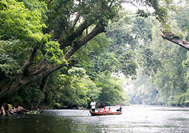 Malaysia Reisen | Taman Negara