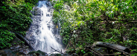 Malaysia Reisen | Wasserfall, Belum Rainforest Malaysia Reisen | Wasserfall, Belum Rainforest