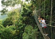 llegada a taman negara.jpg