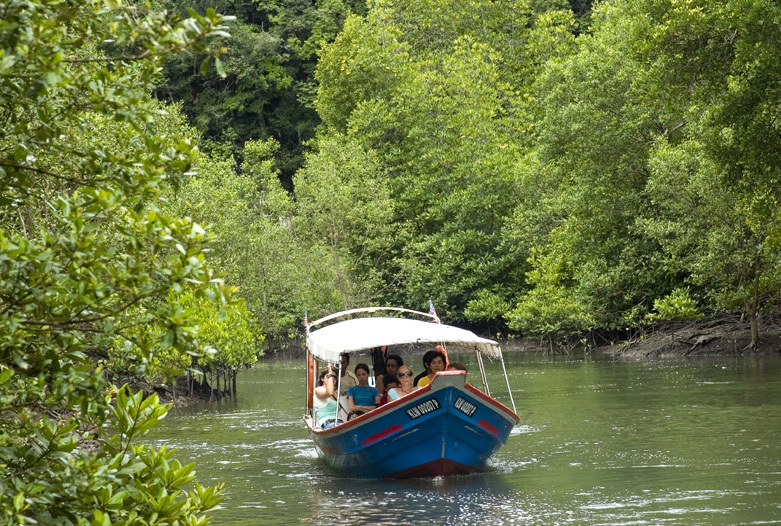 Malaysia Reisen | Bootstour durch Mangroven, Langkawi