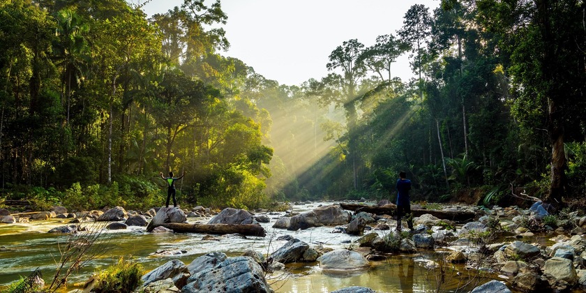 taman-negara-senderismo-min.jpg