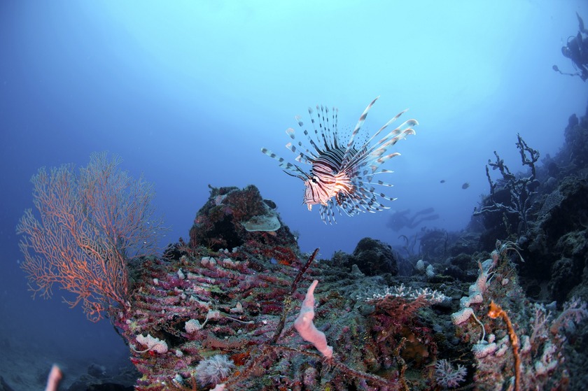 LANGKAYAN ISLAND 14_1.jpg