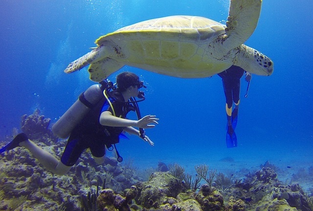 lang-tengah-buceo.jpg