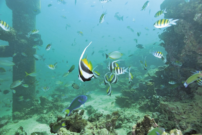 PAYAR ISLAND 52_1.jpg