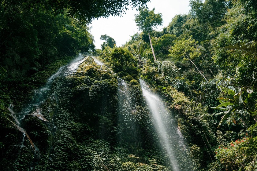 belum-rainforest-cascada.jpg