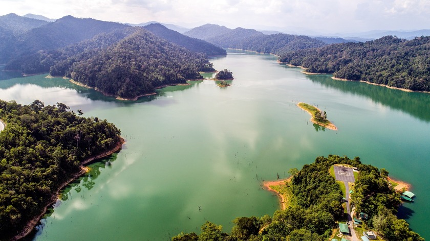 belum-rainforest.jpg