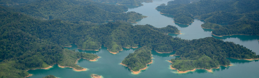 BatangAi.jpg