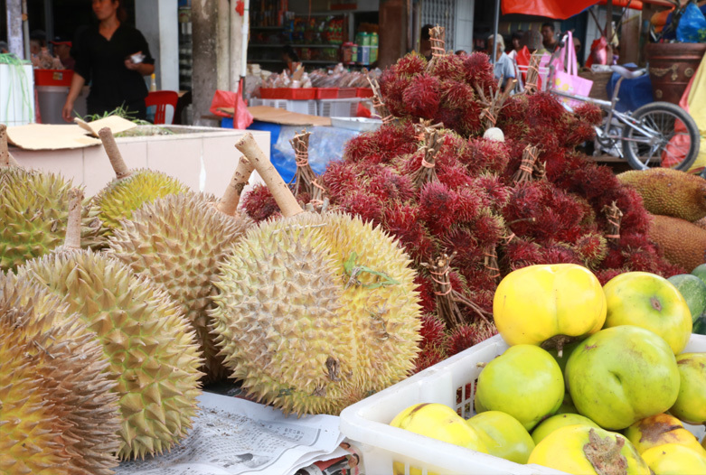 Malaysia Reisen | Frchte